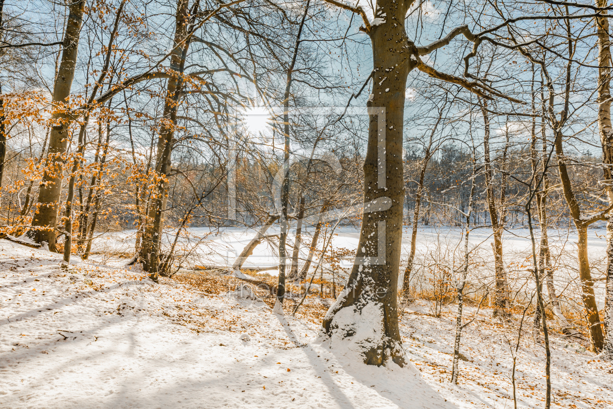 Bild-Nr.: 12780520 Winterstimmung am Waldsee erstellt von Ursula Reins