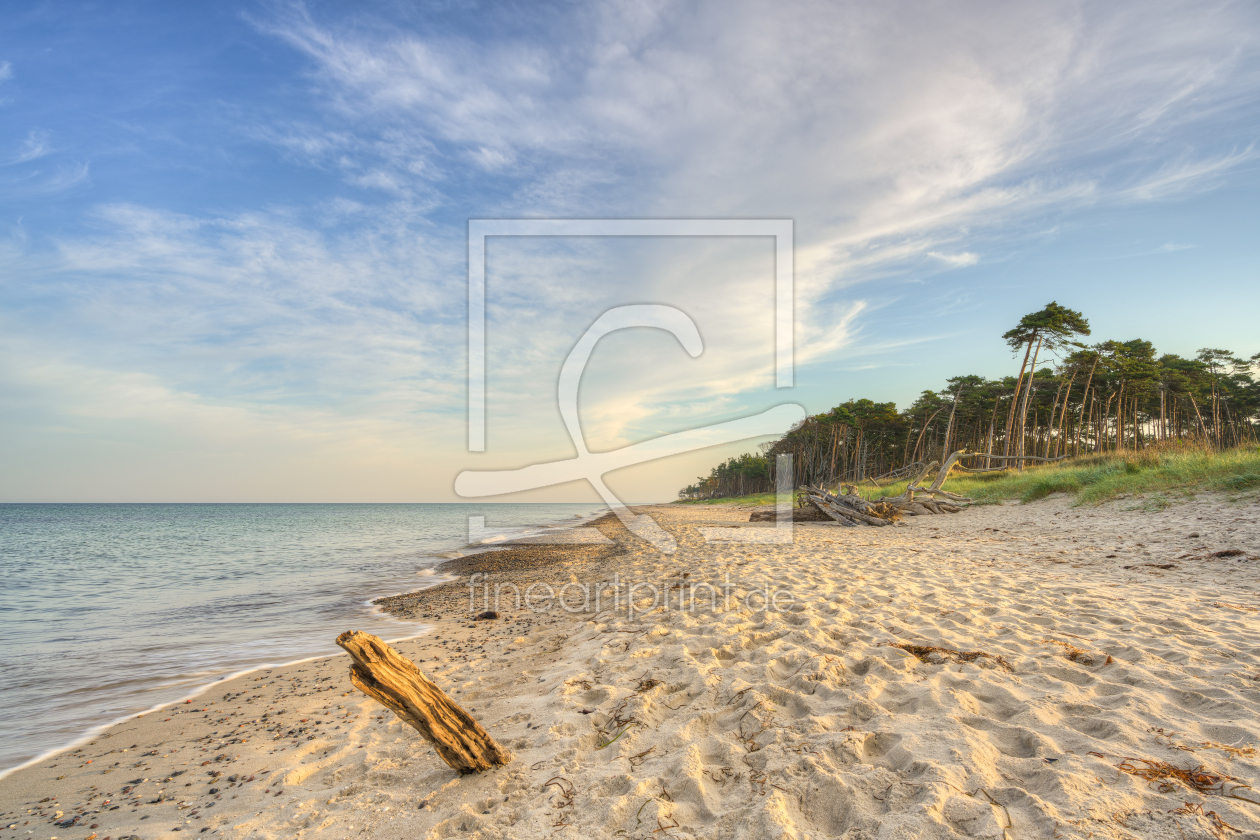 Bild-Nr.: 12780882 Ein Morgen am Darßer Weststrand erstellt von Michael Valjak