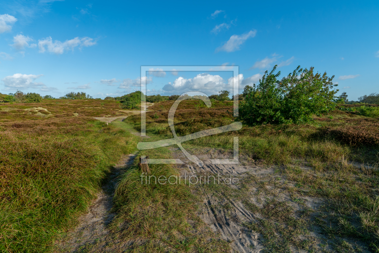 Bild-Nr.: 12783119 Wanderweg durch die Küstenheide erstellt von volker heide