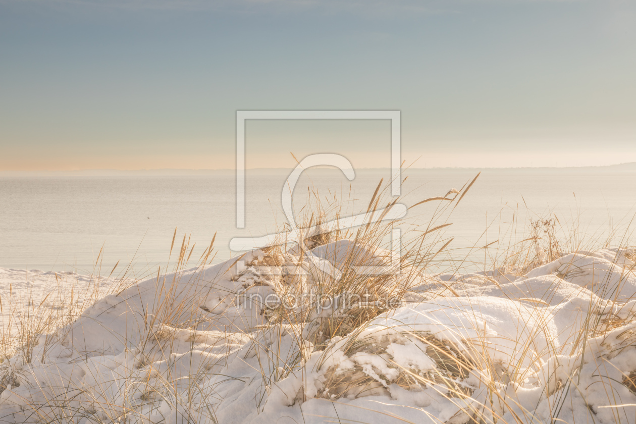 Bild-Nr.: 12783419 Stranddünen unter Schneeflocken erstellt von Ursula Reins