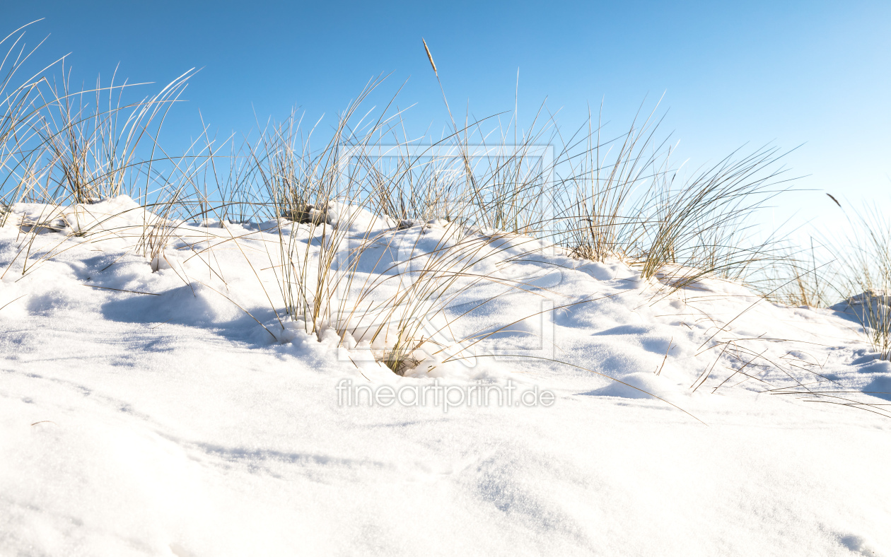 Bild-Nr.: 12787774 Strandhafer im glitzernden Schnee    erstellt von Ursula Reins