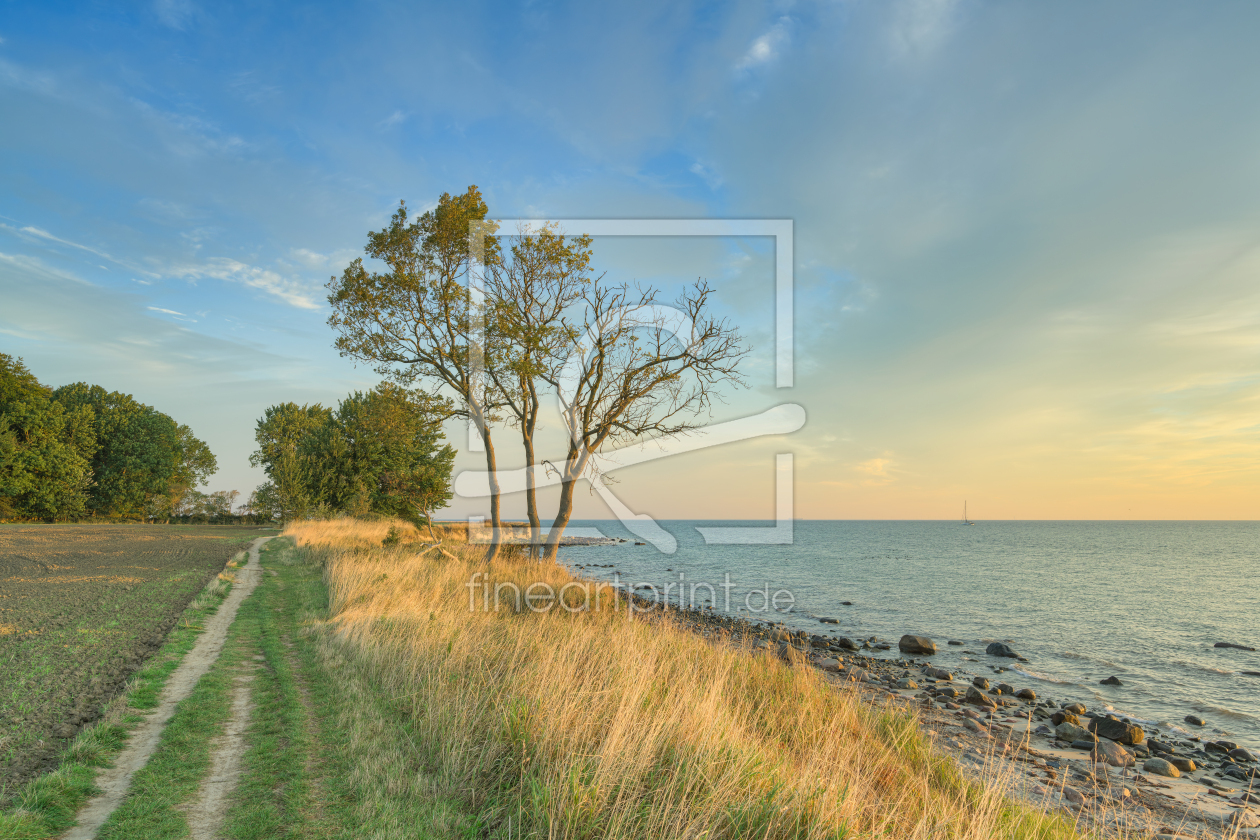 Bild-Nr.: 12791097 Steilküste Staberhuk auf Fehmarn erstellt von Michael Valjak