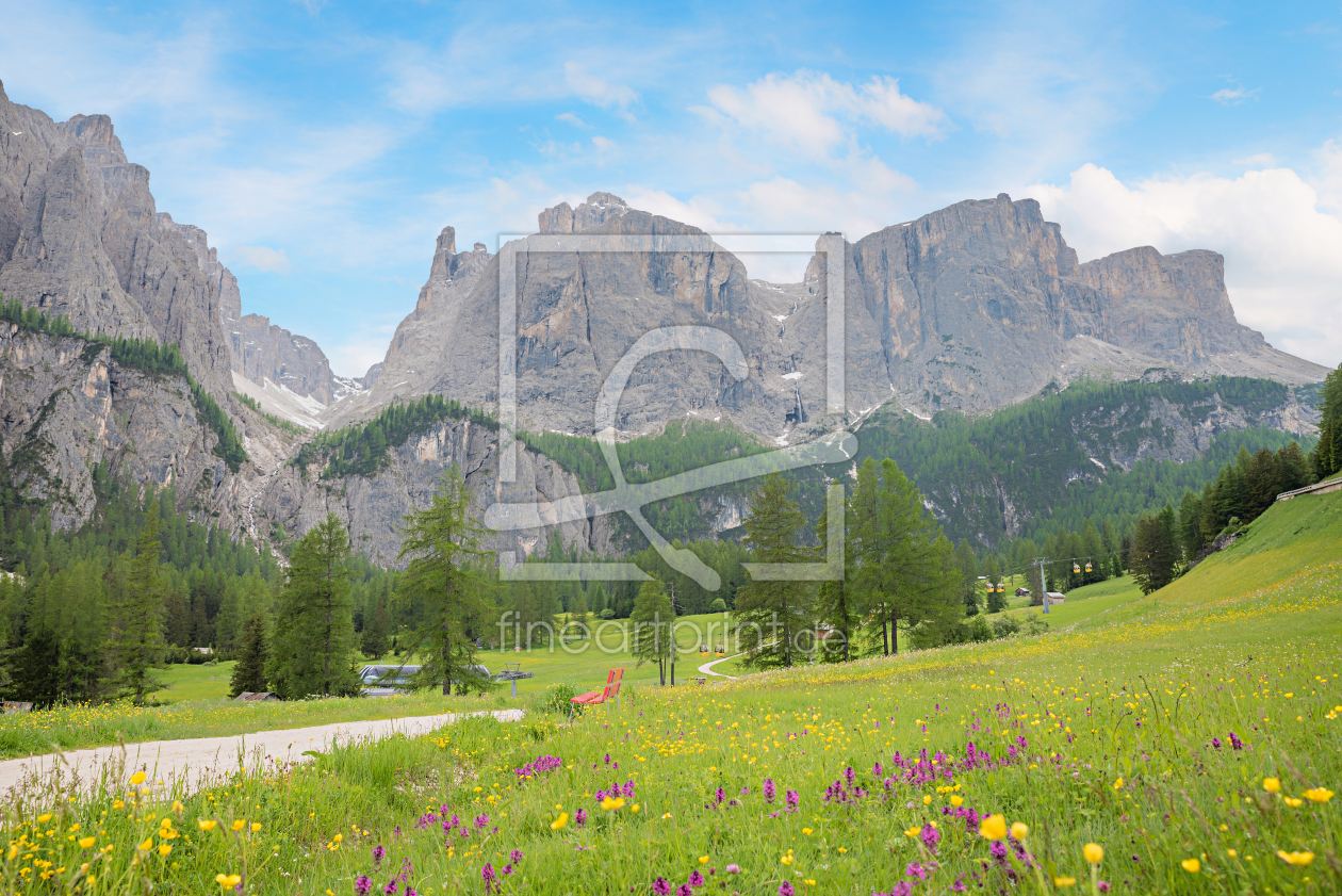 Bild-Nr.: 12793218 Orchideenwiese in Südtirol erstellt von SusaZoom