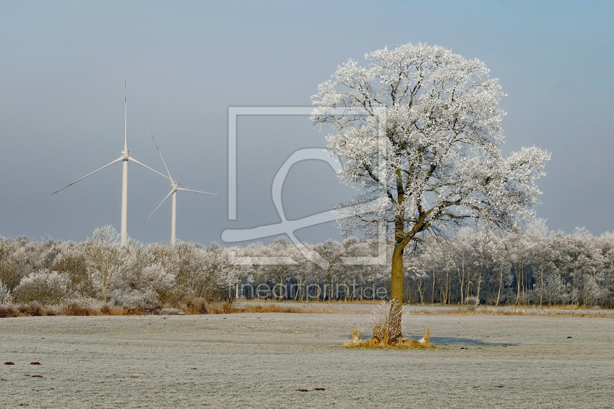 Bild-Nr.: 12793961 Naturschutz mit der Natur erstellt von Ostfriese
