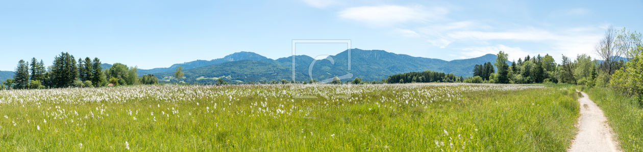 Bild-Nr.: 12795118 Wanderweg entlang der Loisach bei Benediktbeuern erstellt von SusaZoom