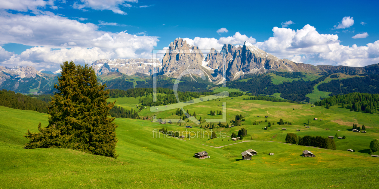 Bild-Nr.: 12796348 Seiser Alm mit Langkofel und Sella im Hintergrund erstellt von Reiner Würz