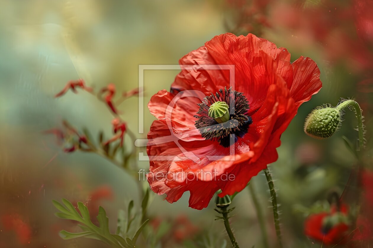 Bild-Nr.: 12798401 Mohn rot KI erstellt von Heike  Hultsch