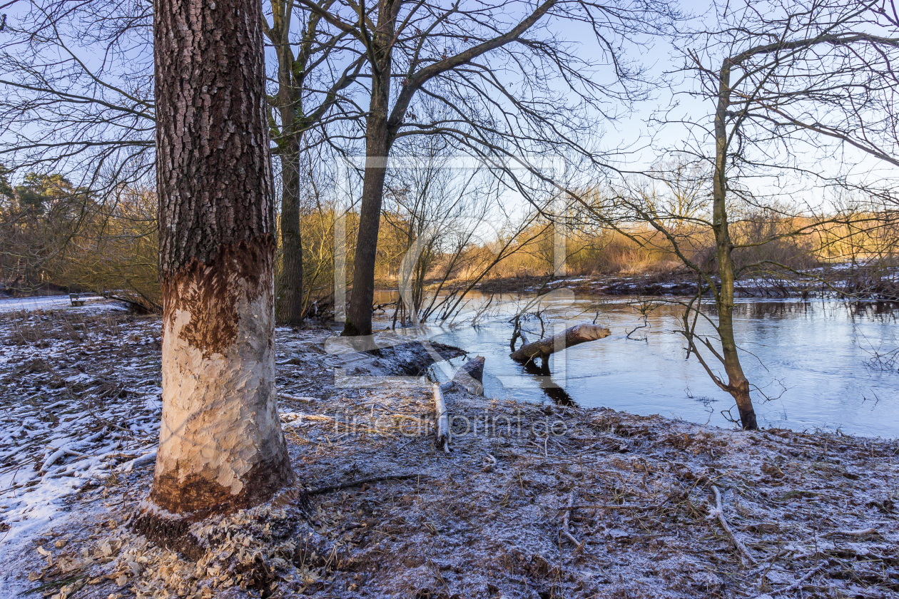 Bild-Nr.: 12801994 Alles in Obi erstellt von yammay
