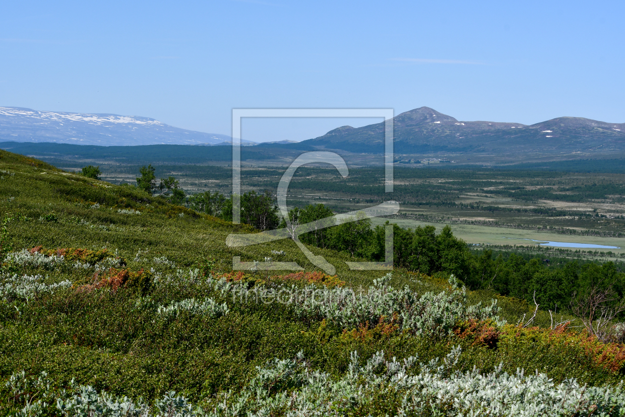 Bild-Nr.: 12802642 Dovrefjell erstellt von Bettina Schnittert