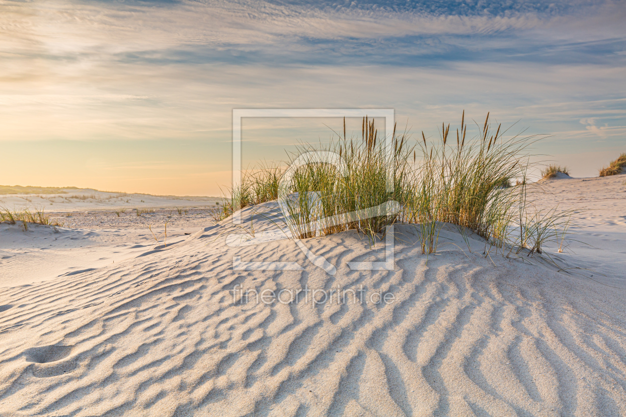 Bild-Nr.: 12803405 Stranddünen  erstellt von Ursula Reins