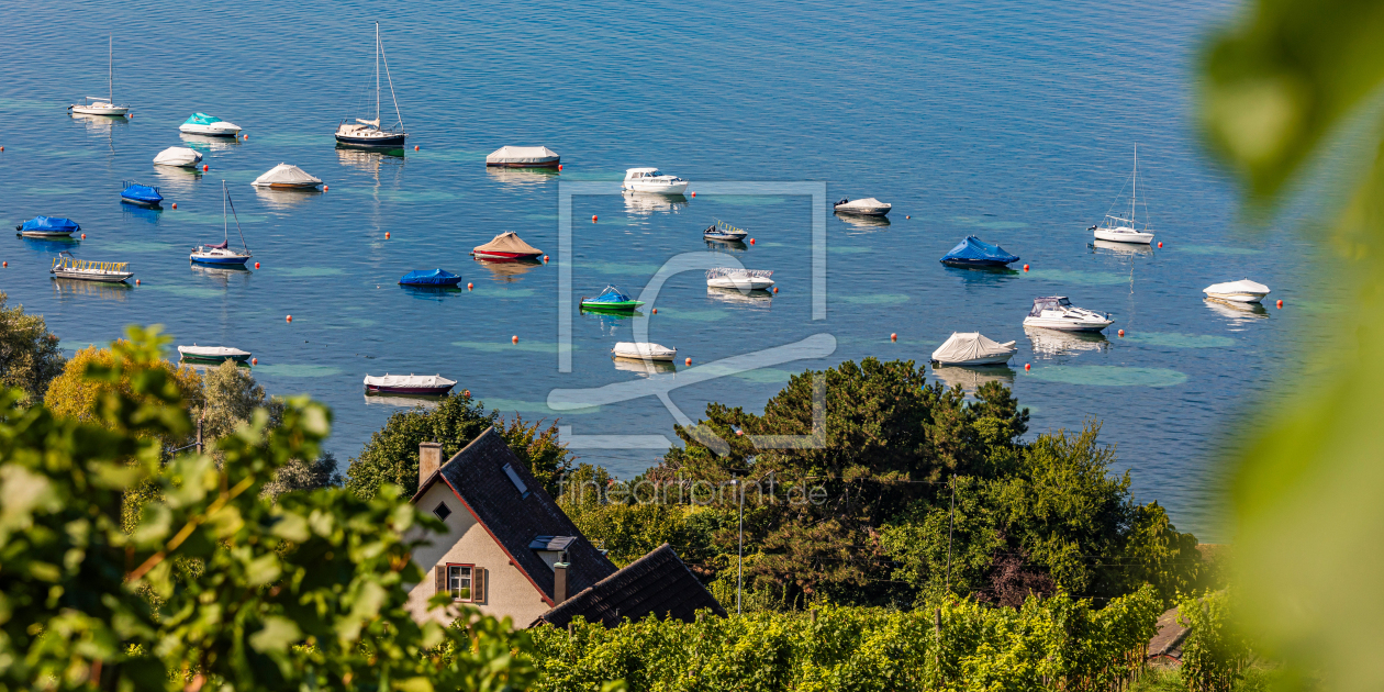 Bild-Nr.: 12805186 Boote auf dem Bodensee in der Schweiz erstellt von dieterich