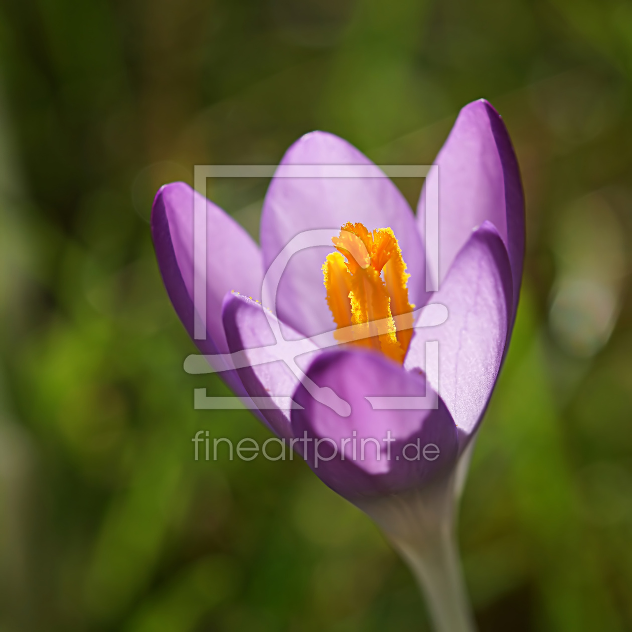 Bild-Nr.: 12805434 Open minded erstellt von youhaveadream