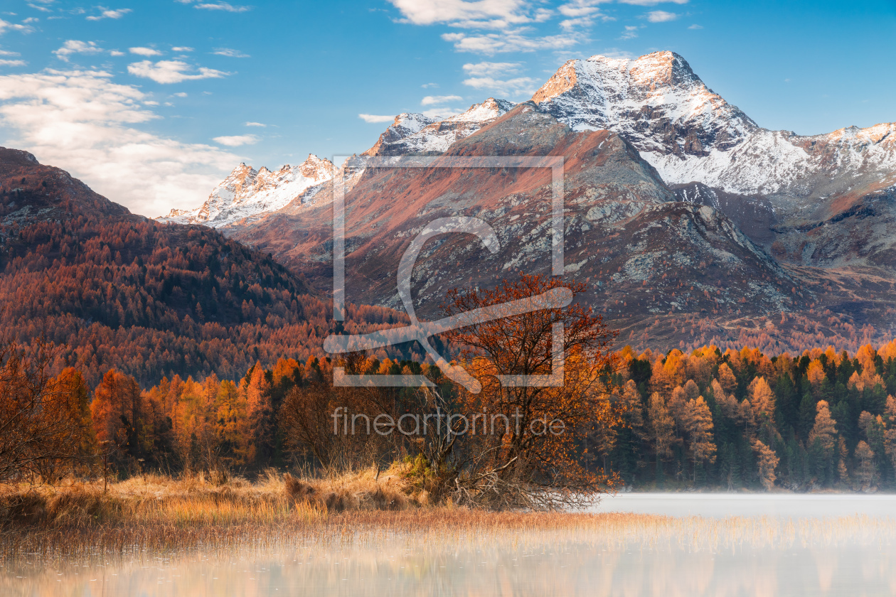 Bild-Nr.: 12805844 Herbstmorgen am Silsersee erstellt von Daniela Beyer