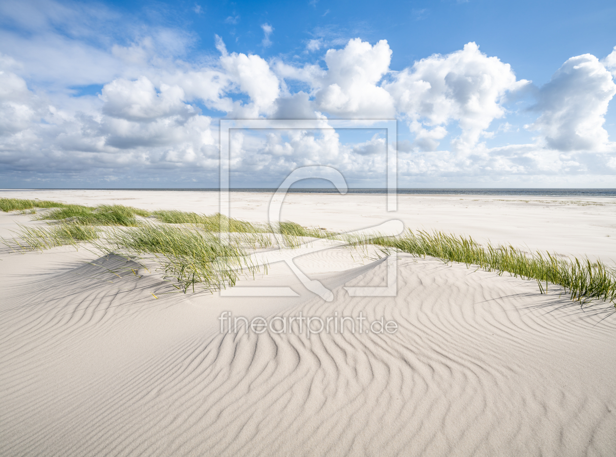 Bild-Nr.: 12809425 Am Dünenstrand erstellt von eyetronic