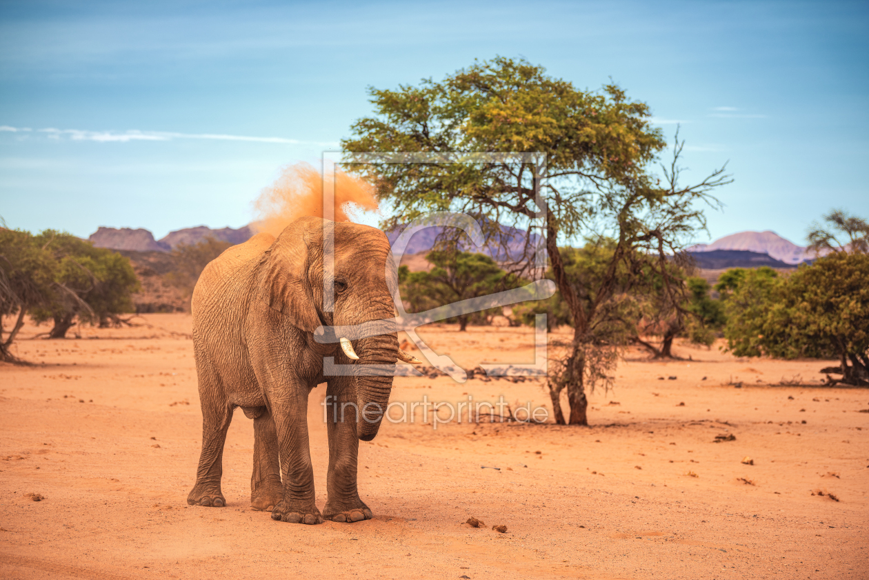 Bild-Nr.: 12811075 Namibia Damraland Wüstenelefant erstellt von Jean Claude Castor