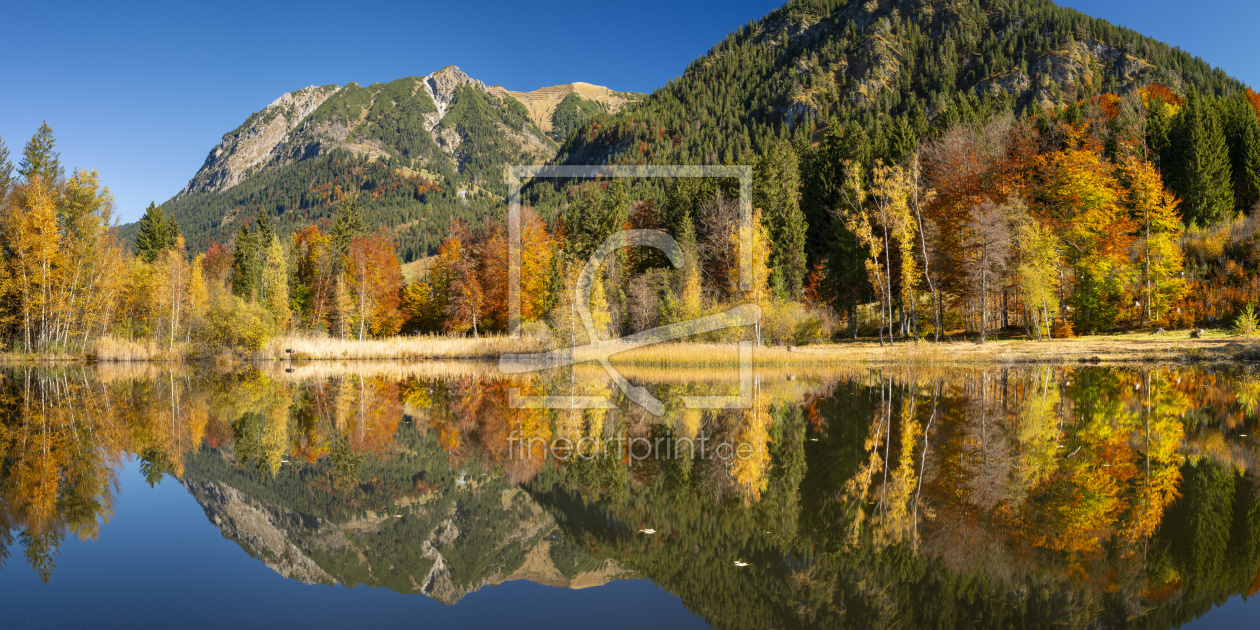 Bild-Nr.: 12812862 Herbst am Moorweiher erstellt von Walter G. Allgöwer