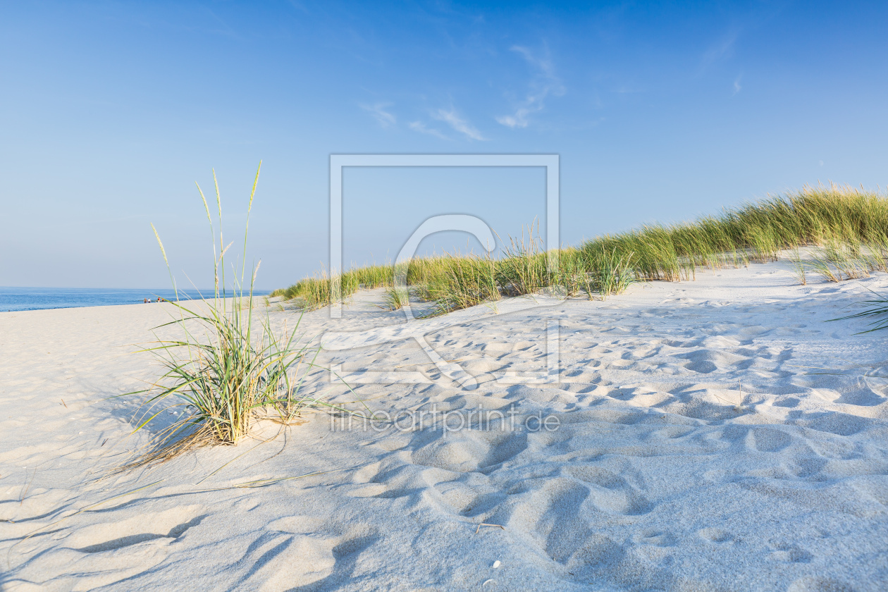Bild-Nr.: 12813314 Stranddünen auf der Insel Sylt erstellt von Ursula Reins