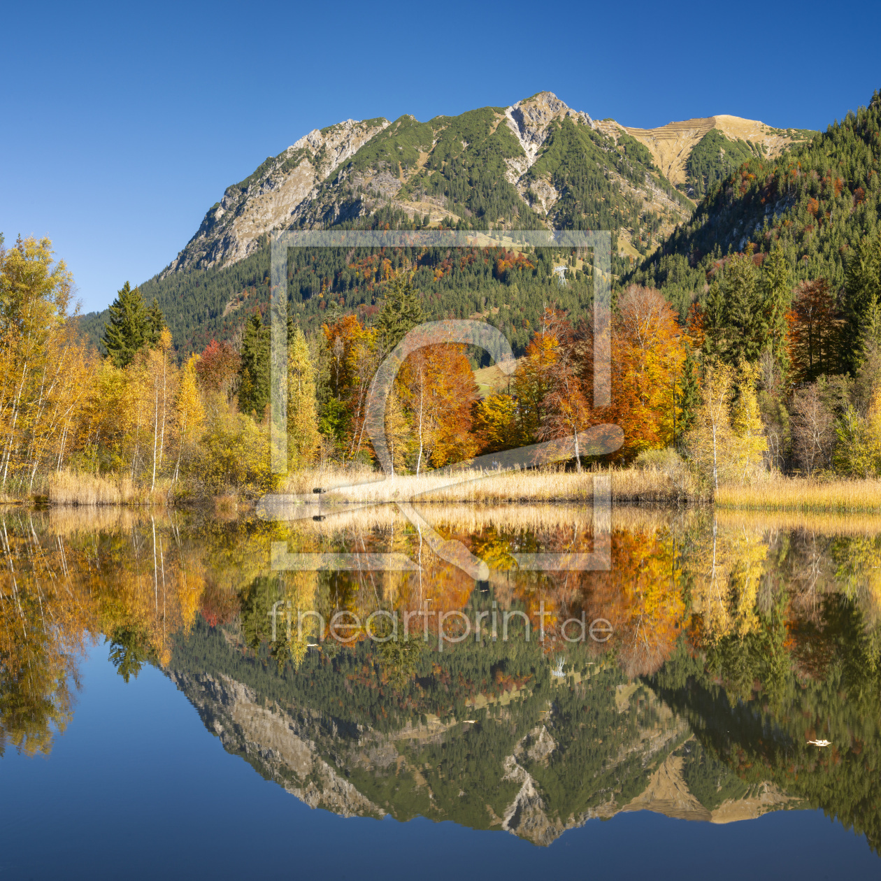 Bild-Nr.: 12813330 Herbst in Oberstdorf erstellt von Walter G. Allgöwer