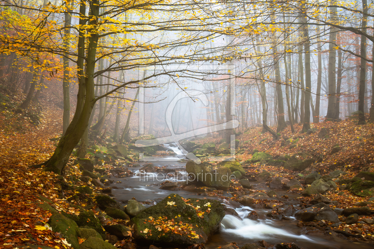 Bild-Nr.: 12813569 Herbst im Ilsetal erstellt von Daniela Beyer