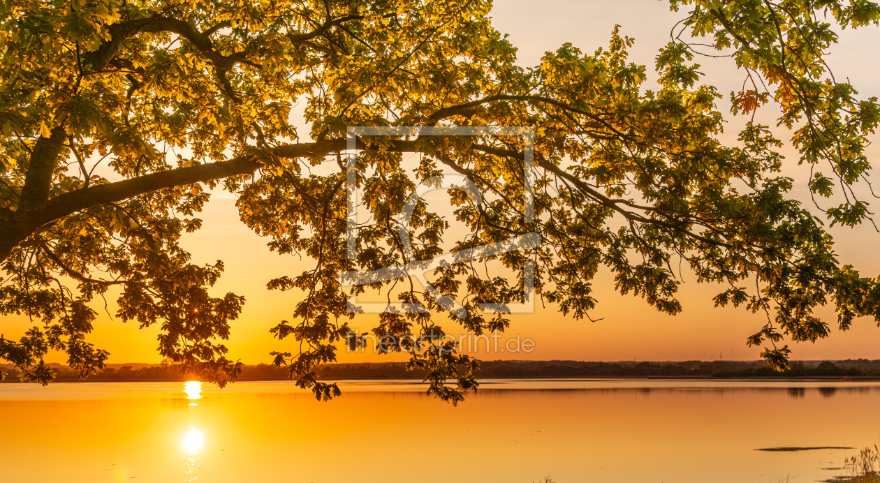 Bild-Nr.: 12813578 Goldener Herbst erstellt von Werner Reins