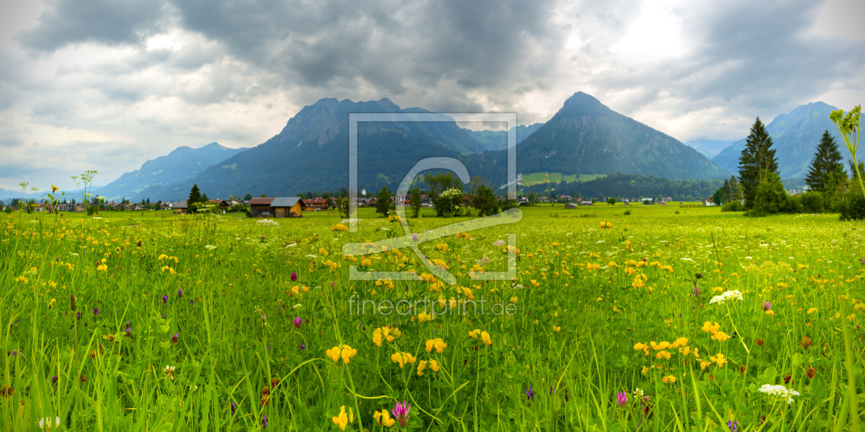 Bild-Nr.: 12813669 Lorettowiesen bei Oberstdorf erstellt von Walter G. Allgöwer