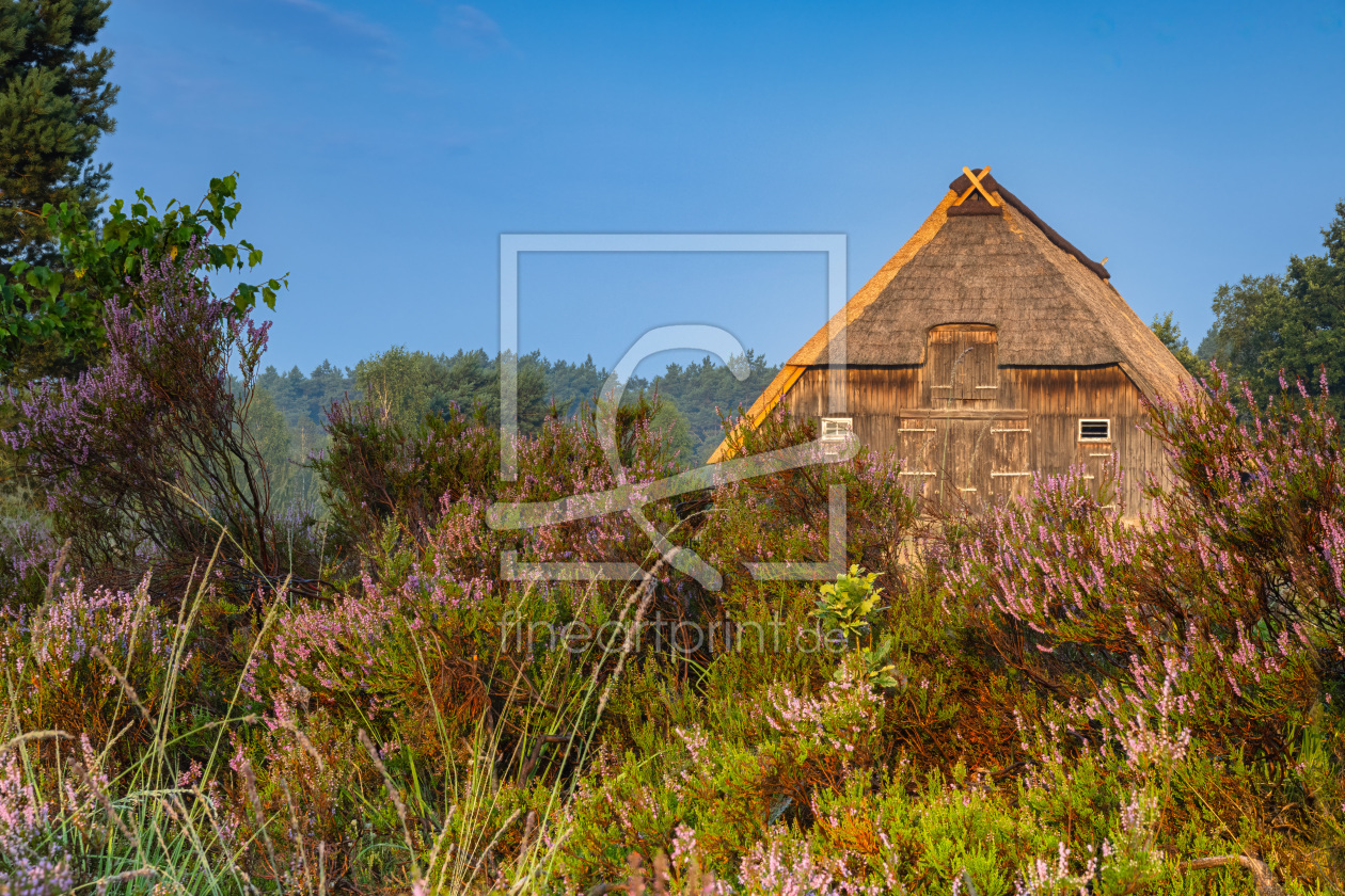 Bild-Nr.: 12814395 Schafstall in der Lüneburger Heide erstellt von Daniela Beyer