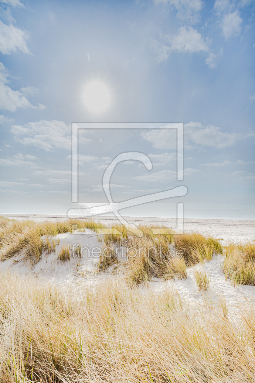Bild-Nr.: 12815194 Stranddünen Timmendorf Ostsee   erstellt von Ursula Reins