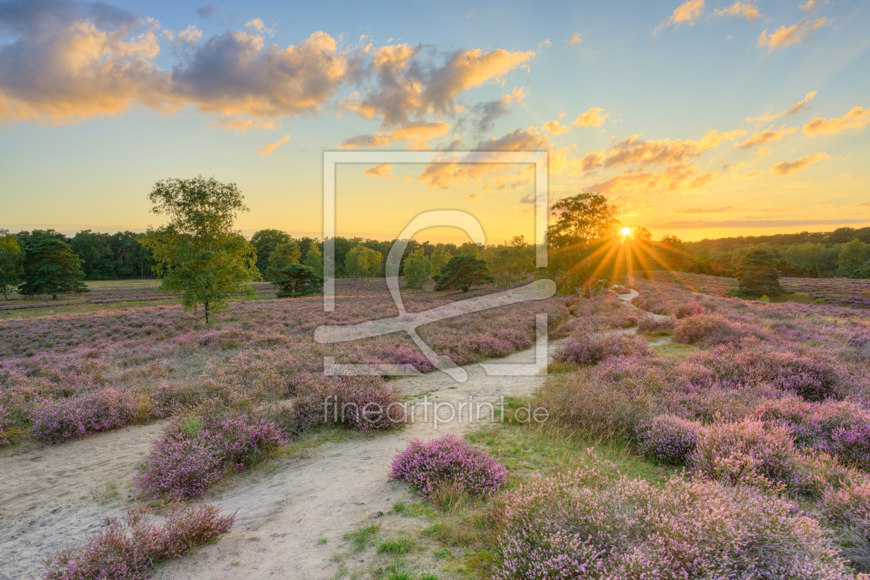 Bild-Nr.: 12815473 In der Westruper Heide bei Sonnenuntergang erstellt von Michael Valjak