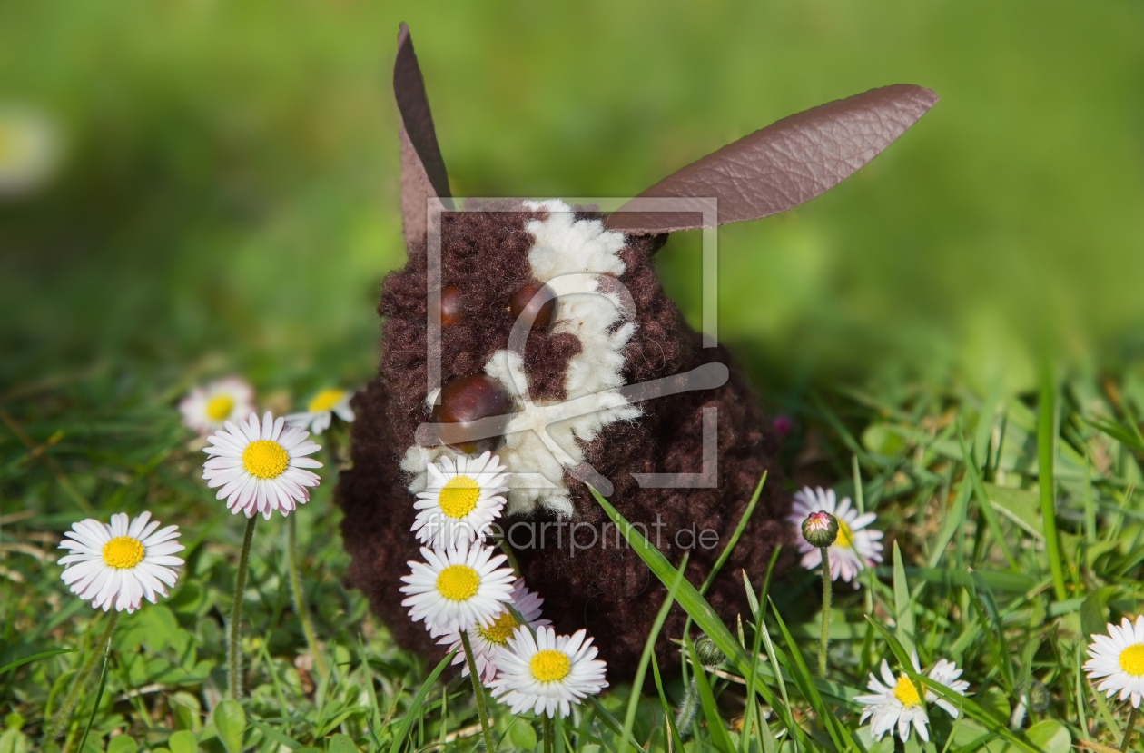 Bild-Nr.: 12815532 Osterhasi mit Gänseblümchen erstellt von SusaZoom