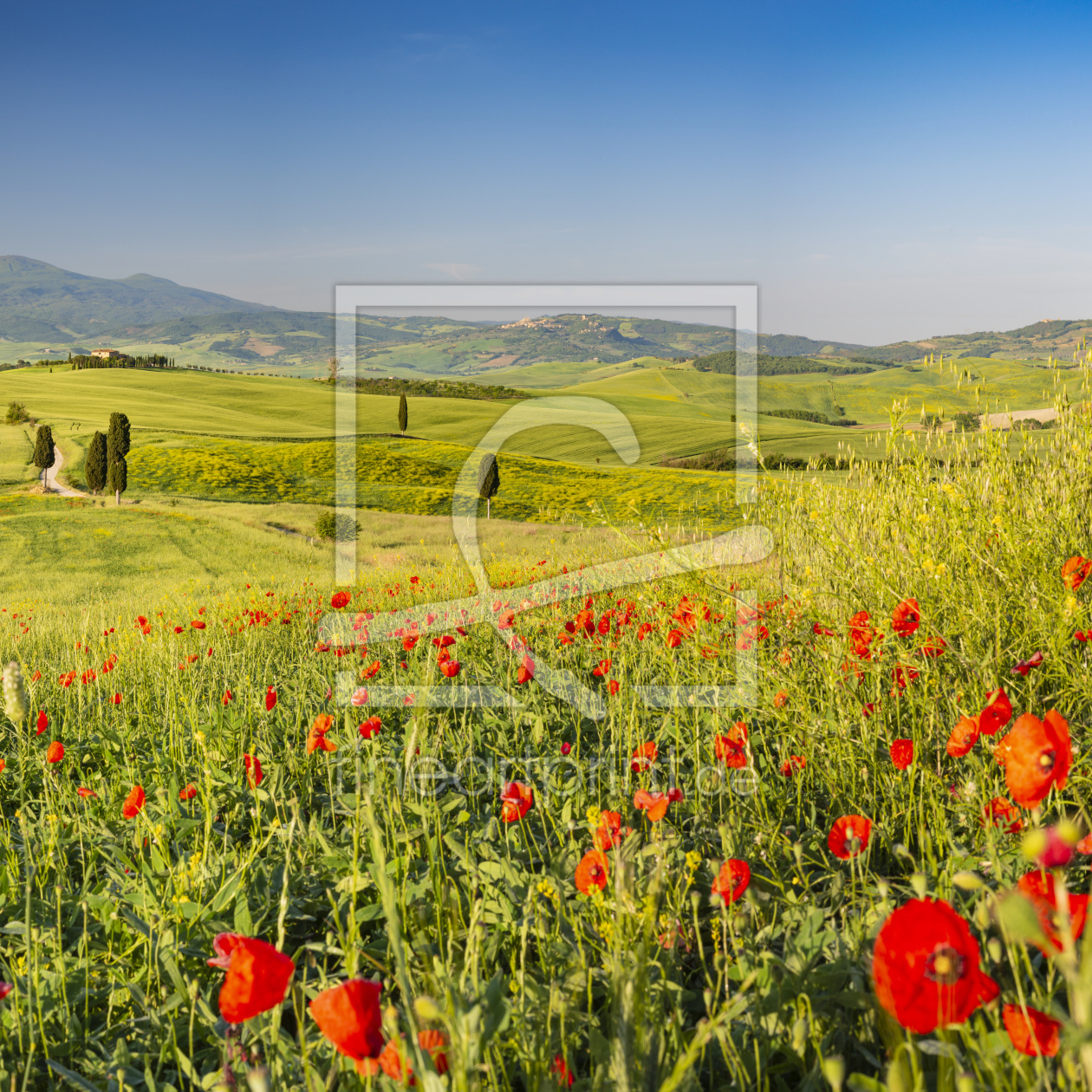 Bild-Nr.: 12815583 Val d\'Orcia erstellt von Walter G. Allgöwer