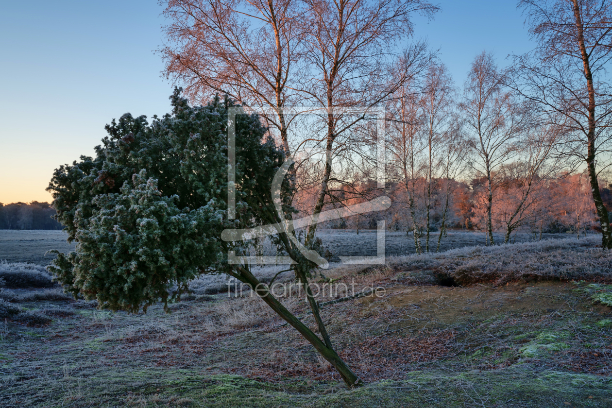 Bild-Nr.: 12817048 Farben am frühen morgen erstellt von volker heide