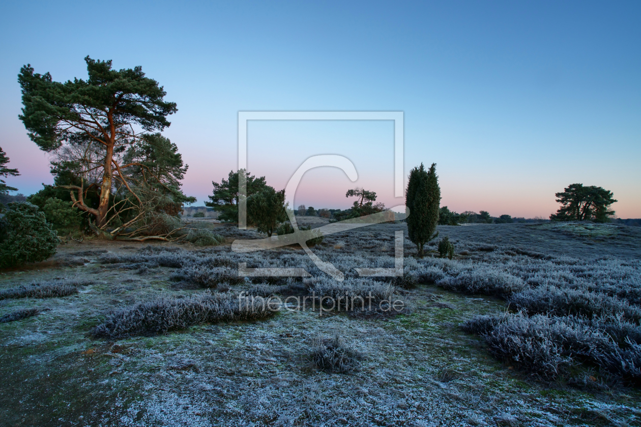 Bild-Nr.: 12817050 Winterstimmung in der Westruper Heide erstellt von volker heide