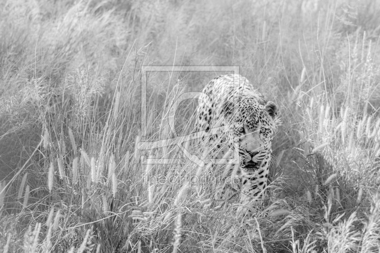 Bild-Nr.: 12817188 Namibia erstellt von KundenNr-367884