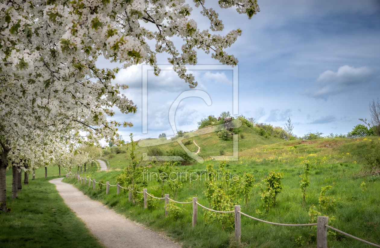 Bild-Nr.: 12817417 Frühling an der Teufelsmauer erstellt von Steffen Henze