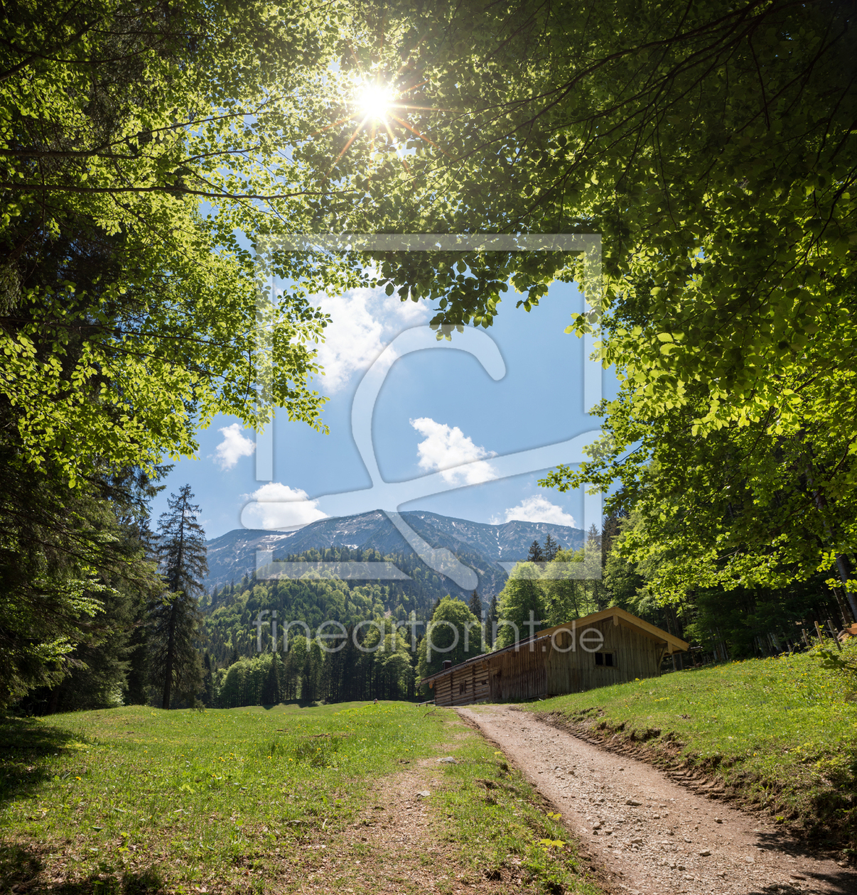 Bild-Nr.: 12817842 Wanderweg Kreuth erstellt von SusaZoom