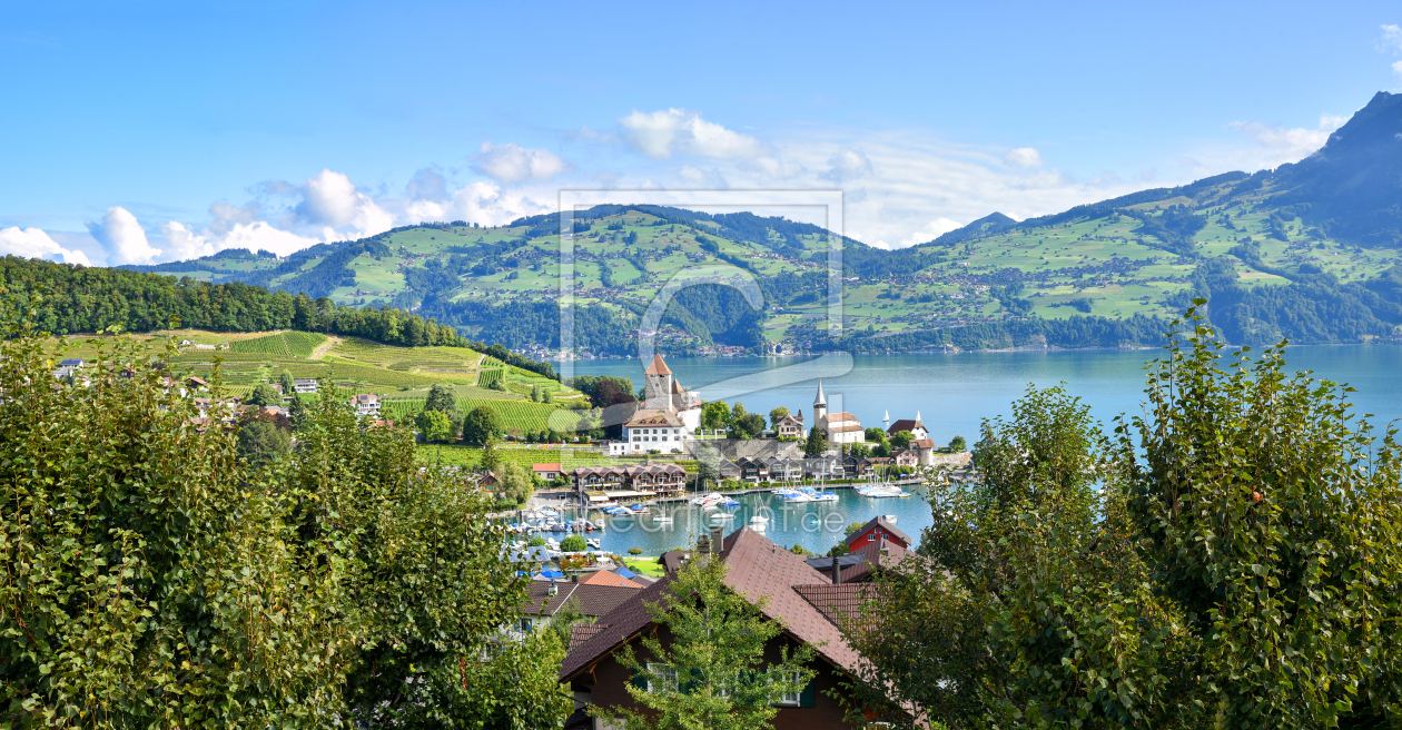 Bild-Nr.: 12818031 Hafenblick Spiez am Thunersee erstellt von SusaZoom