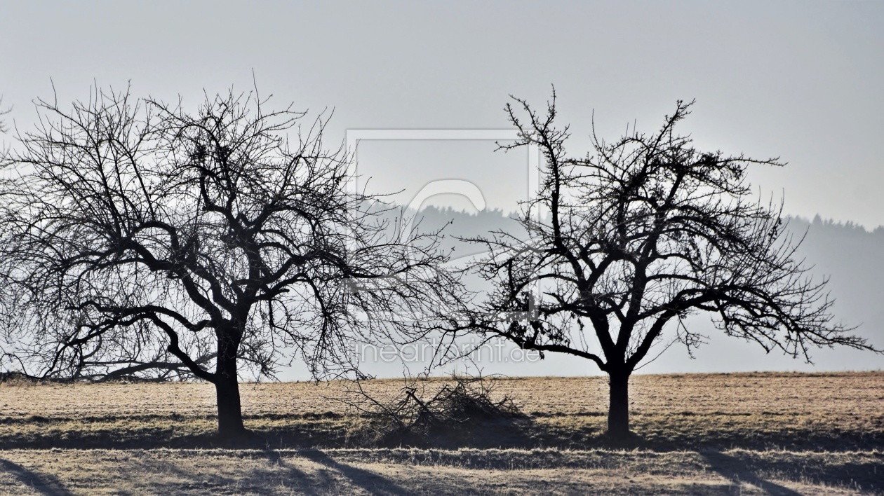 Bild-Nr.: 12818231 Winter Melancholie erstellt von Schwob