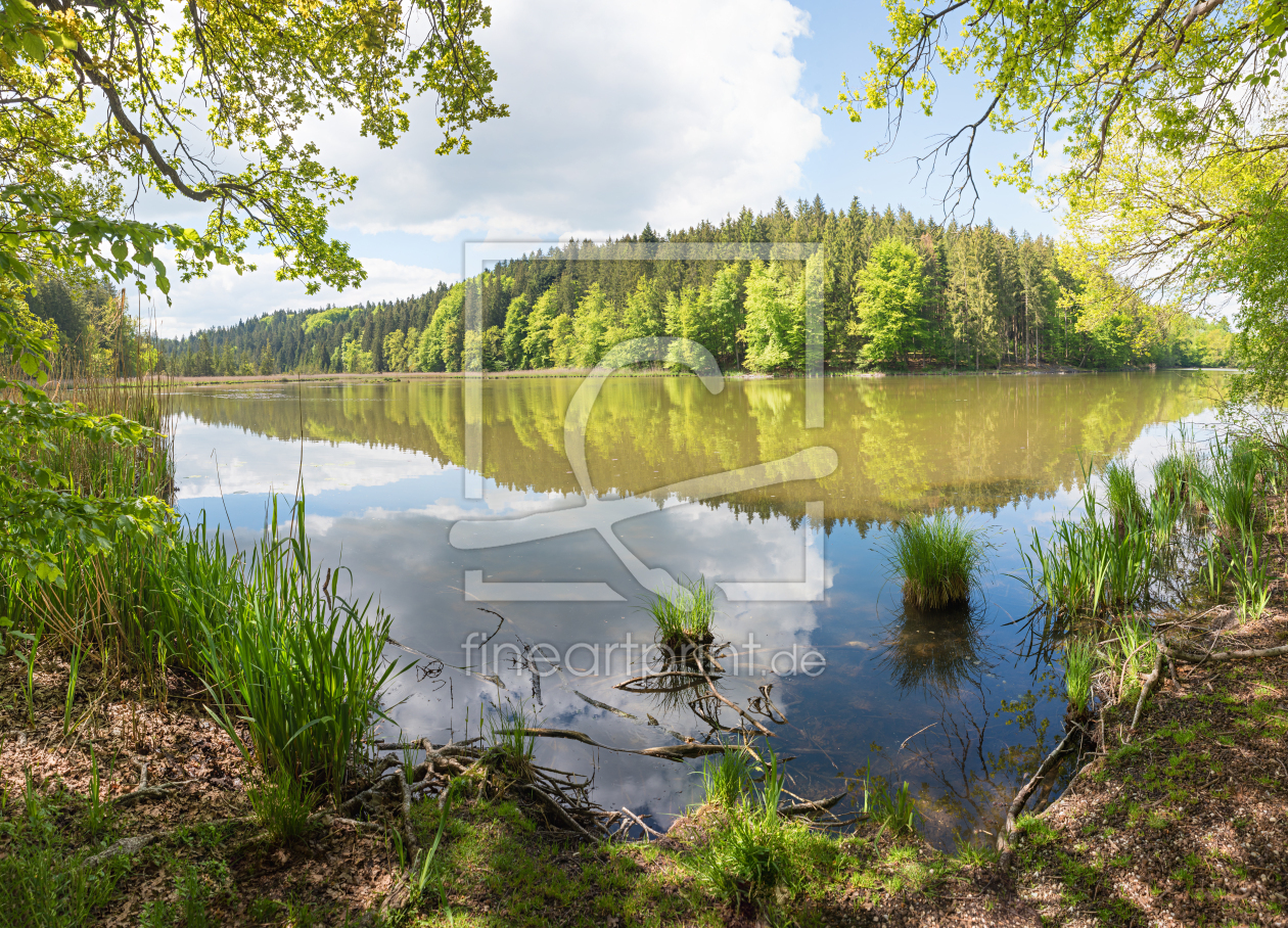 Bild-Nr.: 12818777 Frühling am Weiher erstellt von SusaZoom