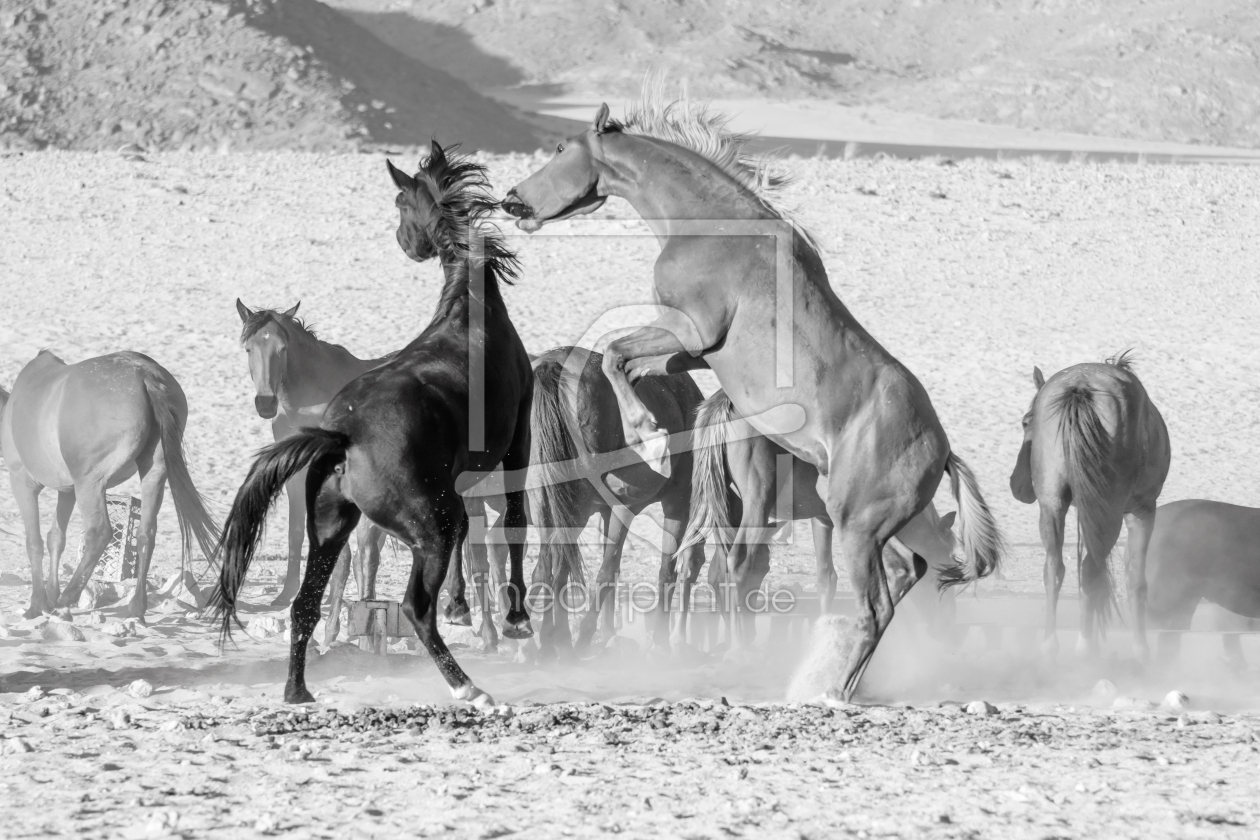 Bild-Nr.: 12819606 Namibia erstellt von KundenNr-367884