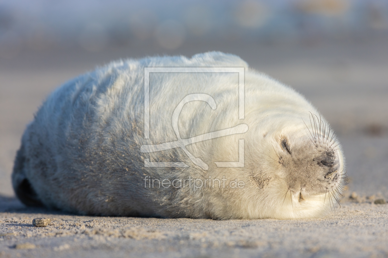 Bild-Nr.: 12821492 Zenmoment erstellt von Daniela Beyer