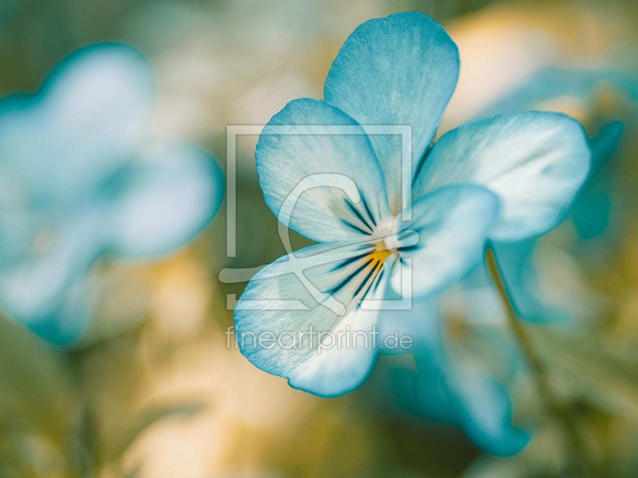 Bild-Nr.: 12824204 Einladend erstellt von KundenNr-367884