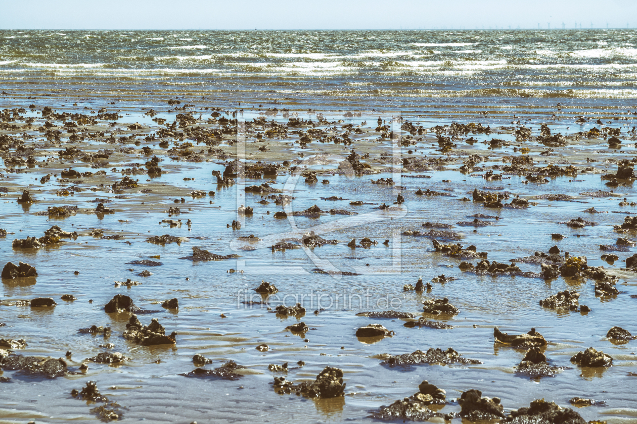 Bild-Nr.: 12825590 Wattenmeer erstellt von lukafo