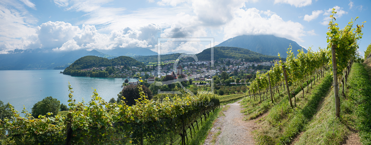 Bild-Nr.: 12828354 Weg durch den Weinberg II erstellt von SusaZoom
