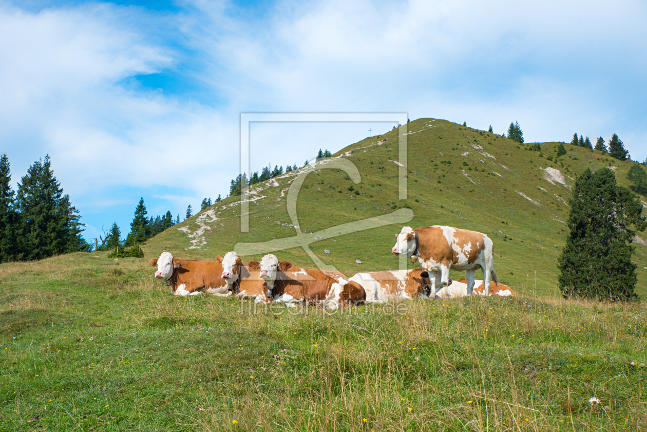 Bild-Nr.: 12830198 Auf der Alm erstellt von SusaZoom