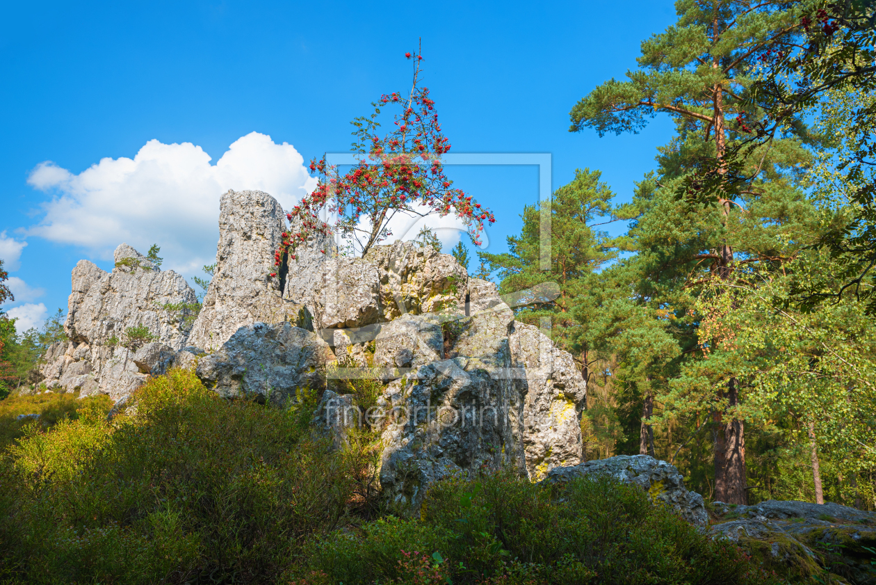 Bild-Nr.: 12831134 Naturdenkmal Großer Pfahlriegel Viechtach II erstellt von SusaZoom