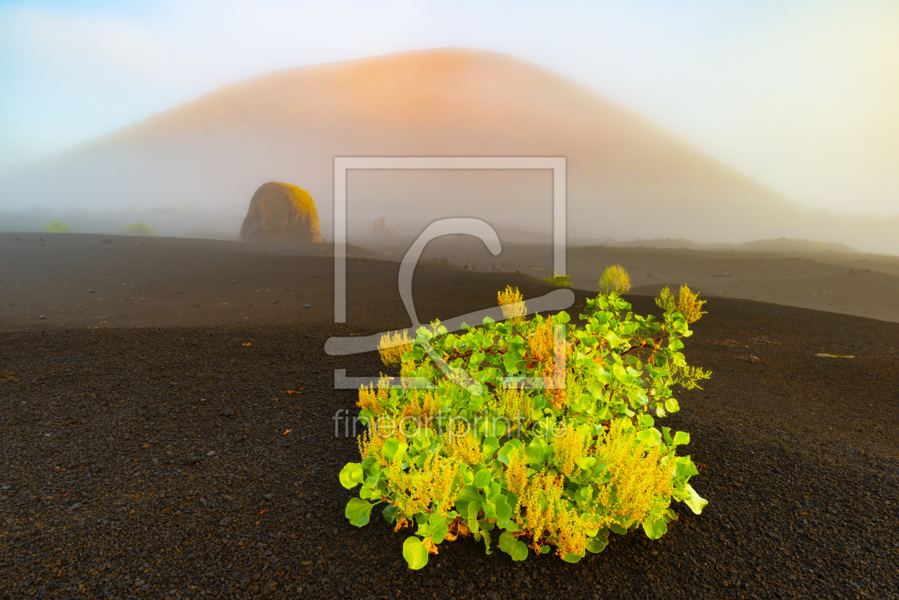 Bild-Nr.: 12831402 Lanzarote erstellt von Walter G. Allgöwer