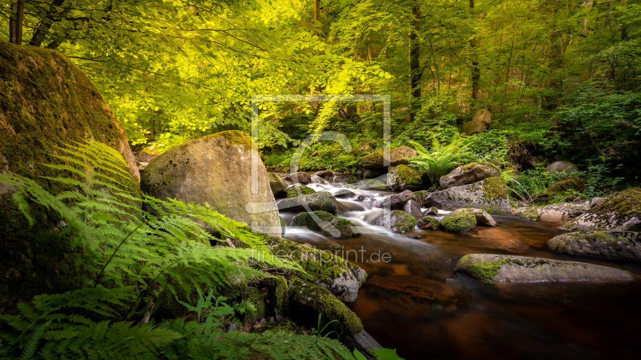 Bild-Nr.: 12831414 Sommer im Ilsetal erstellt von Steffen Henze