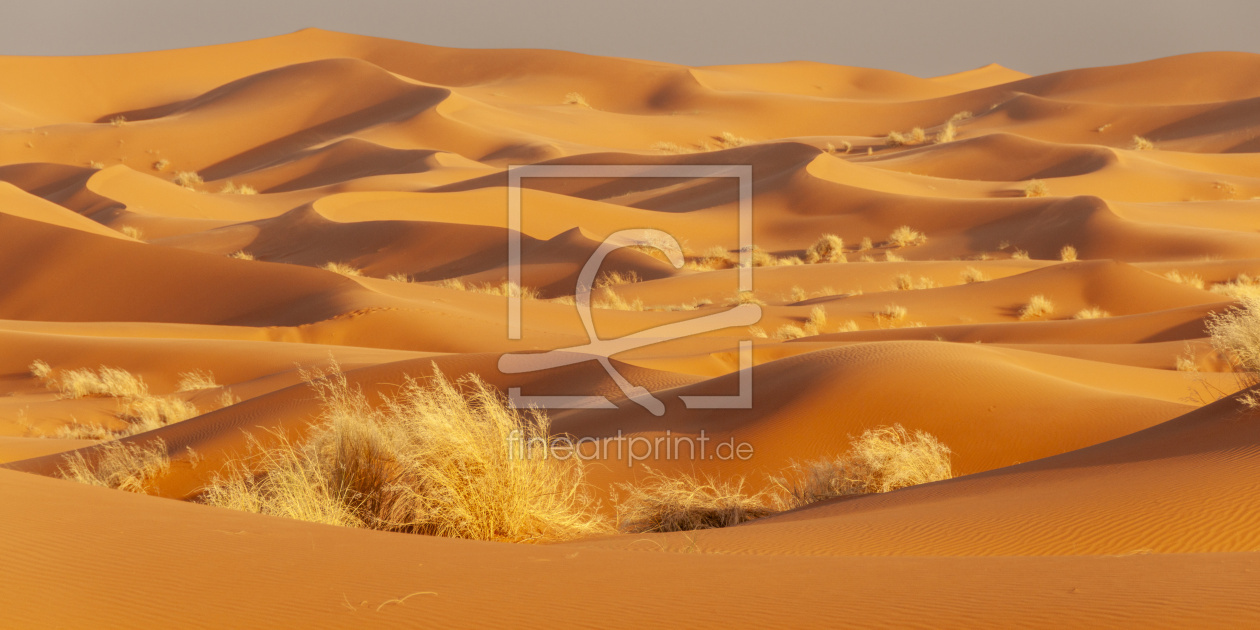 Bild-Nr.: 12832124 Sahara erstellt von Walter G. Allgöwer