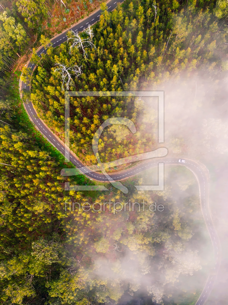 Bild-Nr.: 12832556 Madeira Misty Road erstellt von andreasschwalm