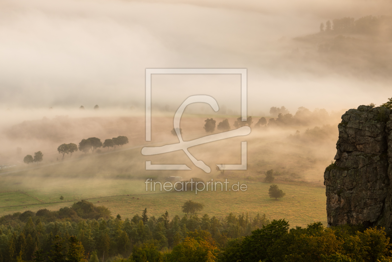 Bild-Nr.: 12833035 Nebel am Felder erstellt von NaturArtPhotographie